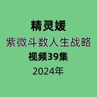 精灵媛老师紫微斗数人生战略39讲视频