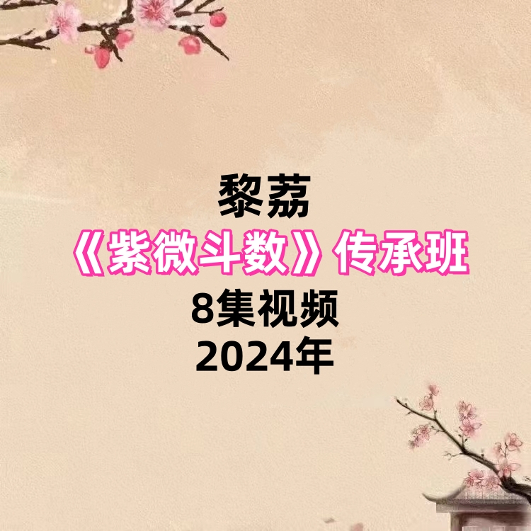 黎荔紫微斗数传承班8集视频