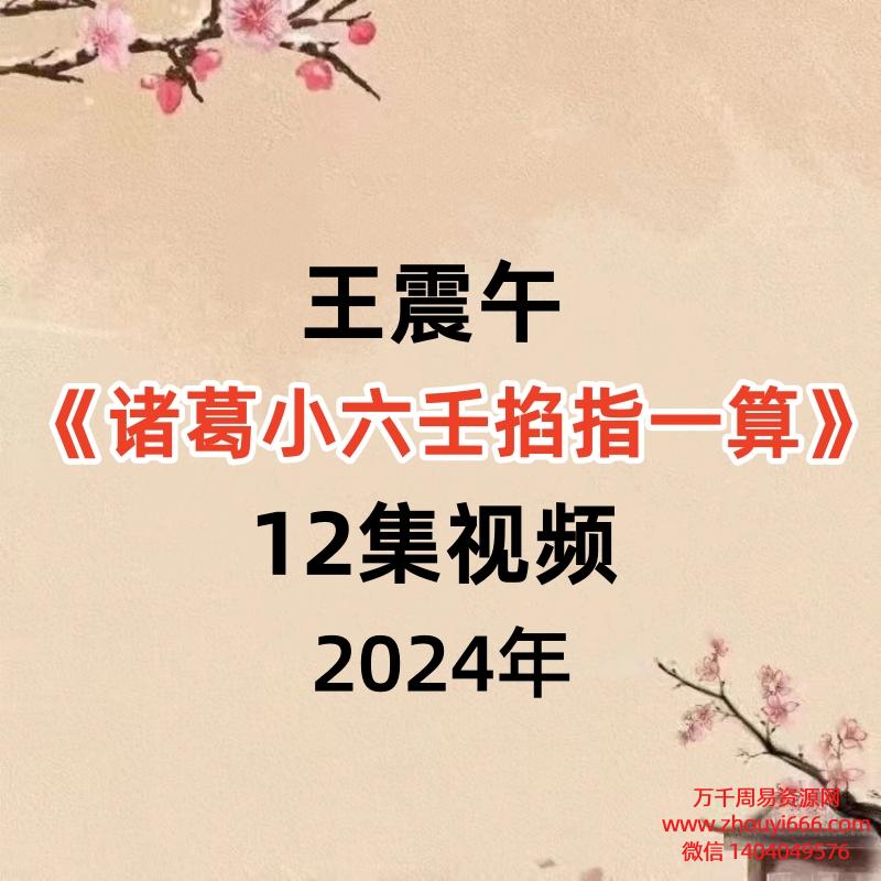 王震午《诸葛小六壬掐指一算》12集视频