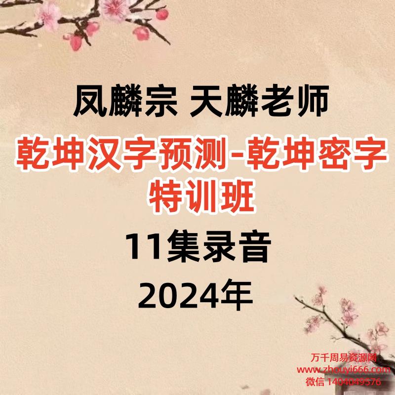 凤麟宗 天麟老师～乾坤汉字预测-乾坤密字特训班11集录音