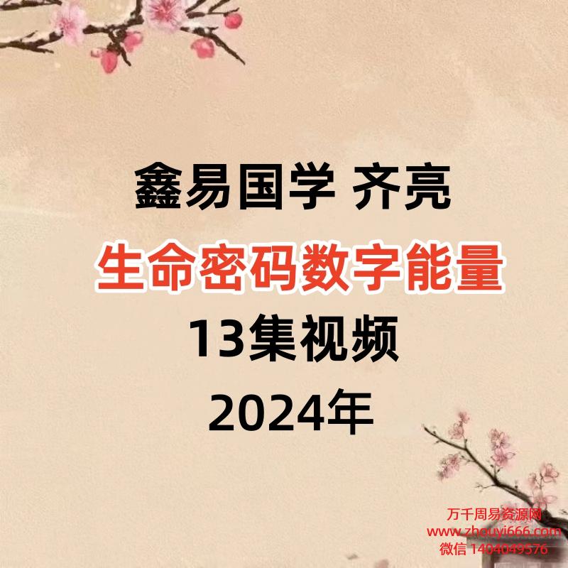鑫易国学 齐亮生命密码数字能量13集视频