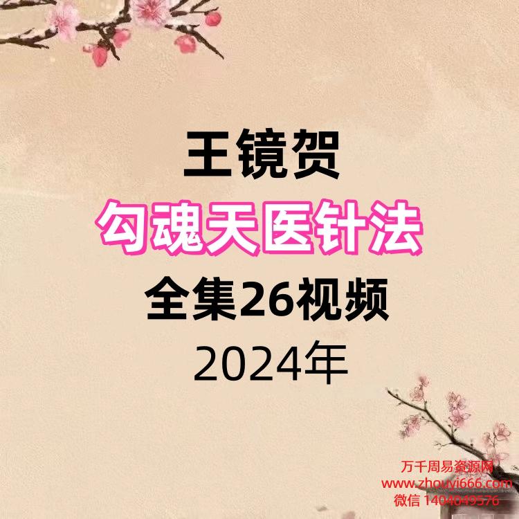 王镜贺勾魂天医针法全集26视频