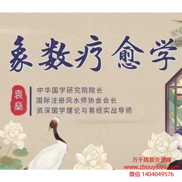 袁燊 八卦象数疗愈学视频39集
