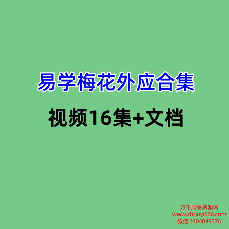 易学梅花外应合集视频16集+文档