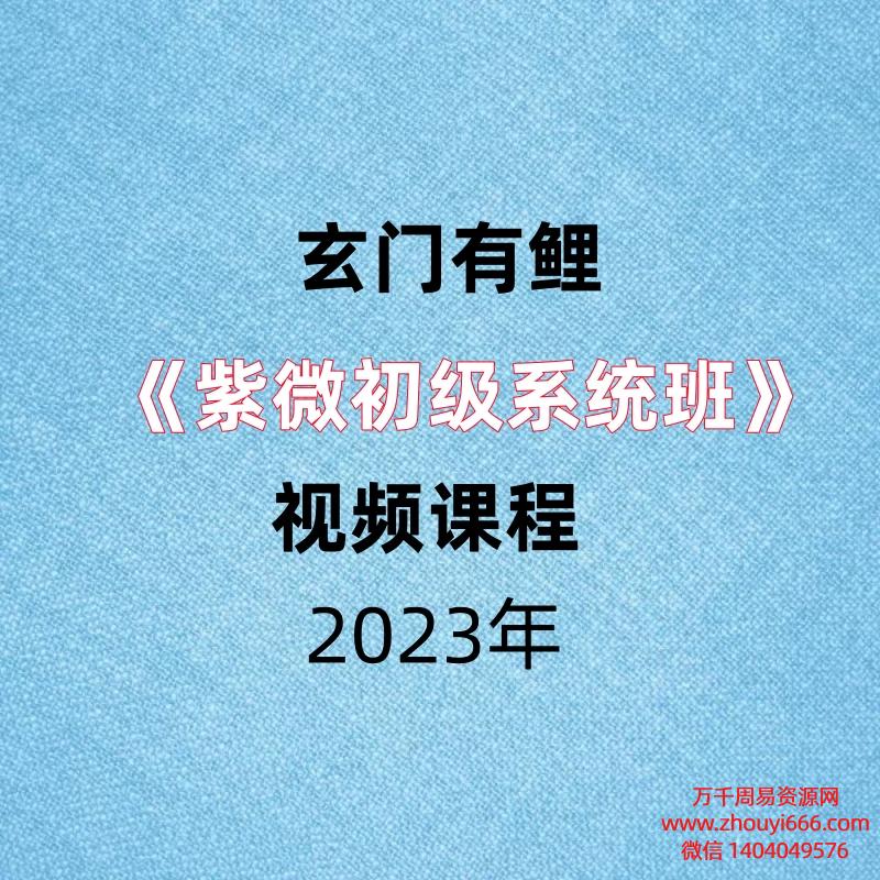 玄门有鲤23年紫微初级系统班视频39集
