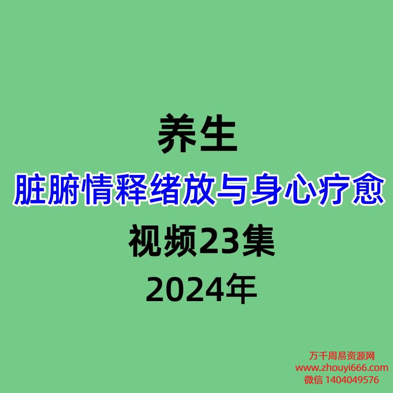 脏腑情释绪放与身心疗愈视频23集