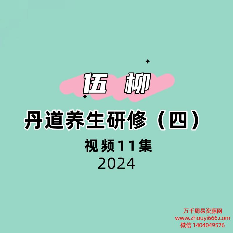 伍柳丹道养生研修（四）12集视频