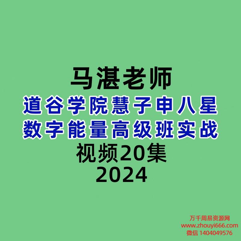 道谷学院马湛老师慧子申八星数字能量高级班实战20集视频